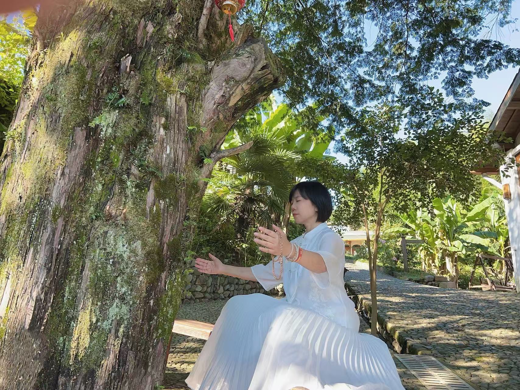 森林禅修