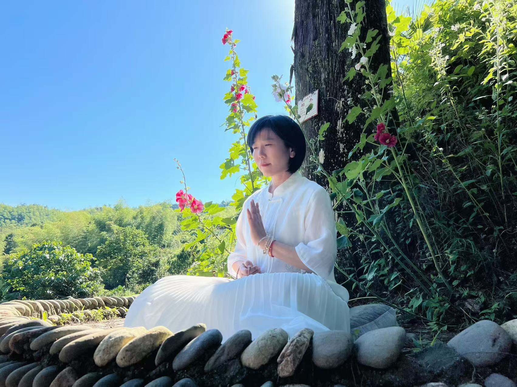 养生功法